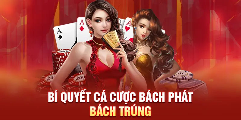 Bí quyết cá cược bách phát bách trúng