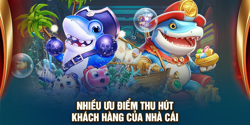 Nhiều ưu điểm thu hút khách hàng của nhà cái