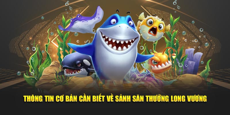 Thông tin cơ bản cần biết về sảnh săn thưởng long vương